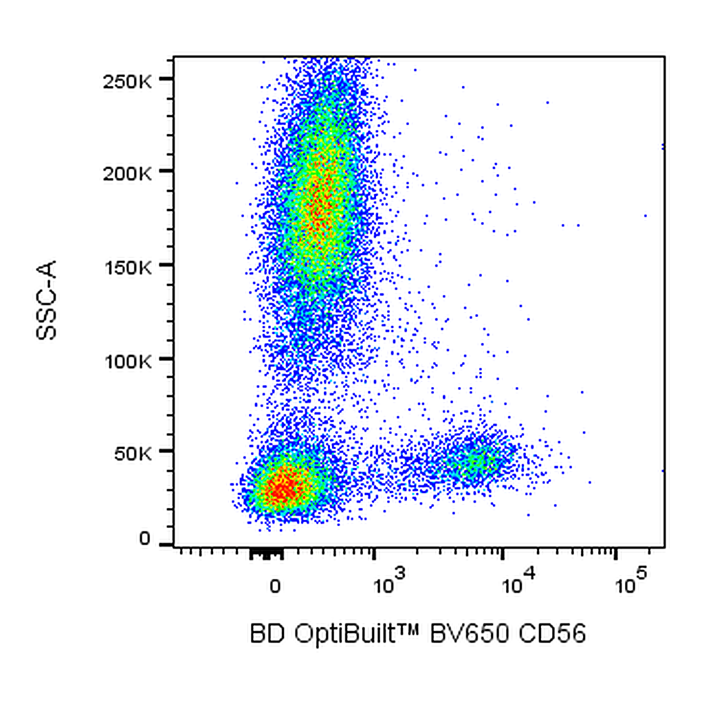 BD BV650 Mouse Anti-Human CD56 (NCAM-1)