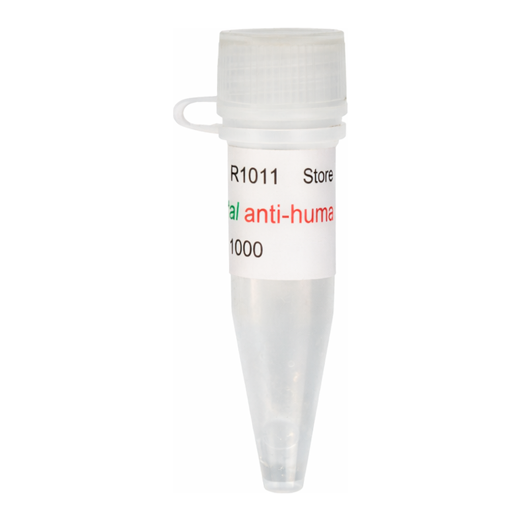 Kindle Biosciences DIGITAL ANTI-HUMAN IGG-HRP