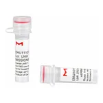 Merck MISSION(R) esiRNA