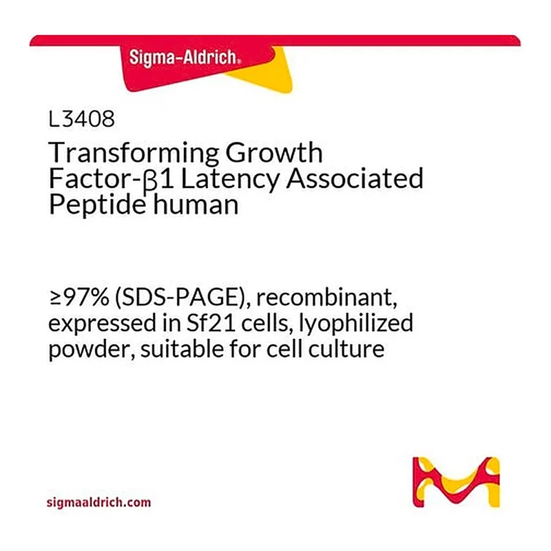 Merck Transforming Growth Factor-beta1 Latency Associated Peptide human