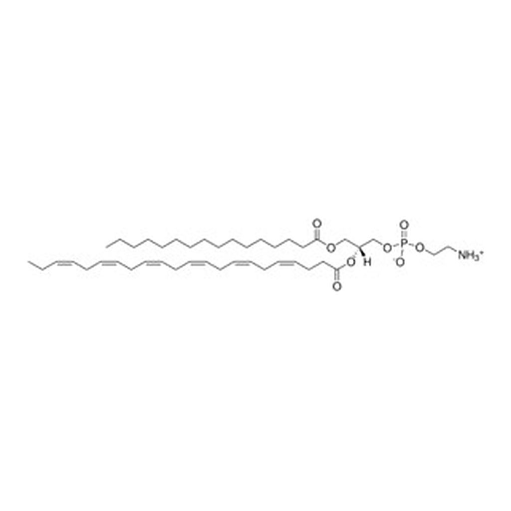 Merck 16:0-22:6 PE