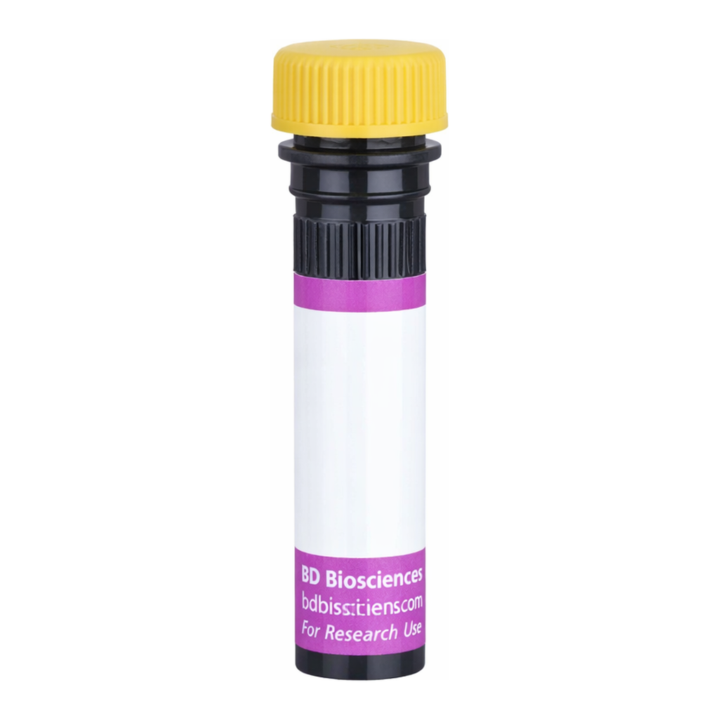 BD BV650 Rat Anti-Mouse Vβ 6 T-Cell Receptor