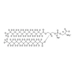 Merck 16:0 PS-d62