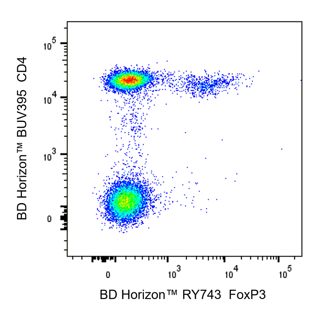 BD RY743 Mouse Anti-Human FoxP3
