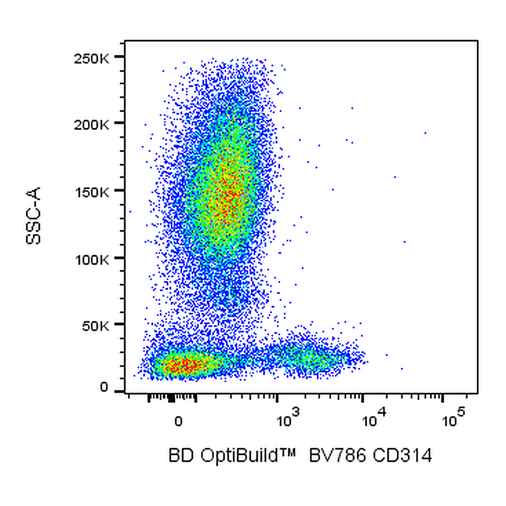 BD BV786 Mouse Anti-Human CD314 (NKG2D)