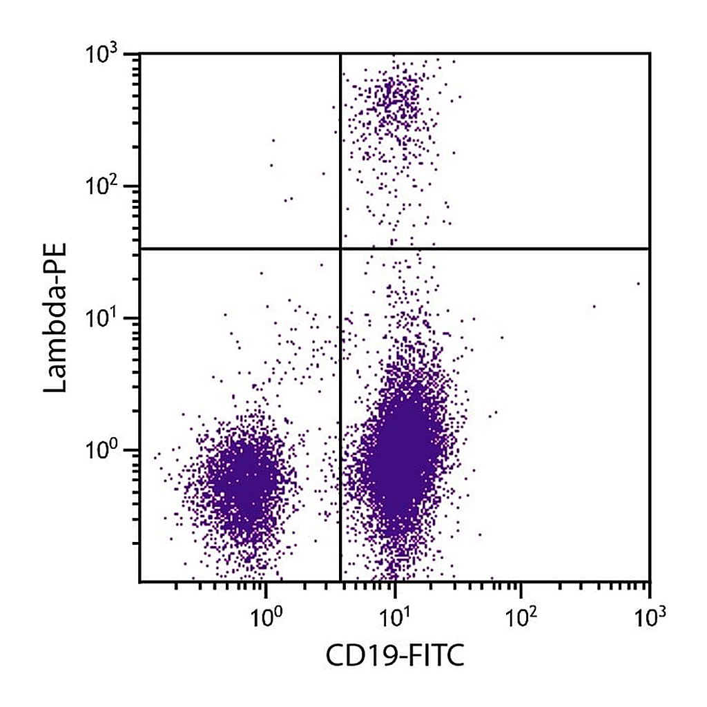 Thermo Fisher Scientific Rat anti-Mouse Lambda Light Chain Secondary Antibody, PE