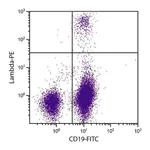 Thermo Fisher Scientific Rat anti-Mouse Lambda Light Chain Secondary Antibody, PE