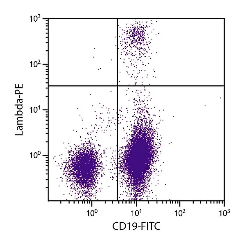 Thermo Fisher Scientific Rat anti-Mouse Lambda Light Chain Secondary Antibody, PE
