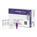 Thermo Fisher Scientific Phire Animal Tissue Direct PCR Kit (without sampling tools)