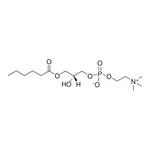 Merck 06:0 Lyso PC