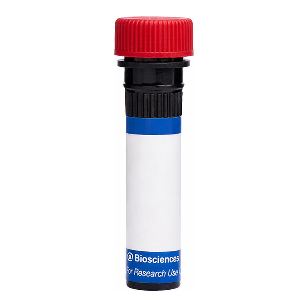 BD RB670 Mouse Anti-Human EGF Receptor