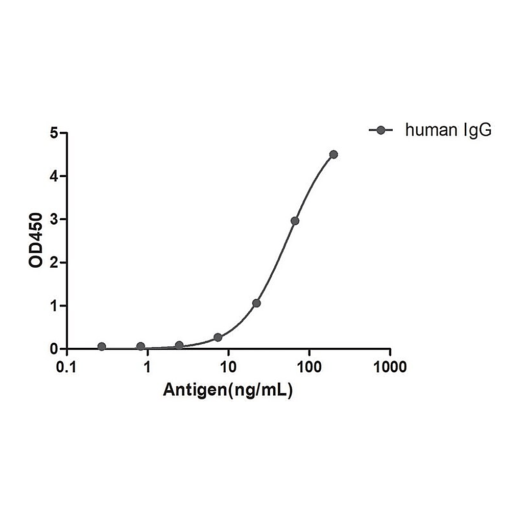 Merck Alpaca Anti-Human IgG(Fcgamma) single domain Antibody