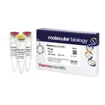 Thermo Fisher Scientific PvuI (10 U/μL), 300 units