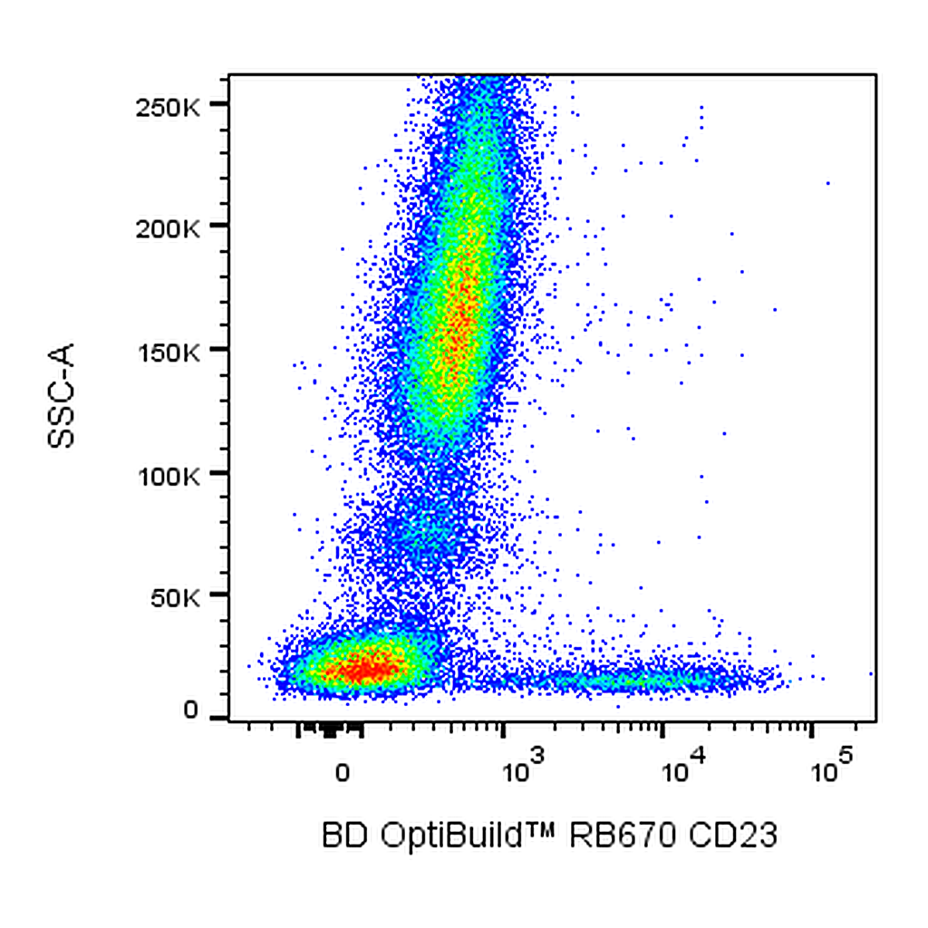 BD RB670 Mouse Anti-Human CD23
