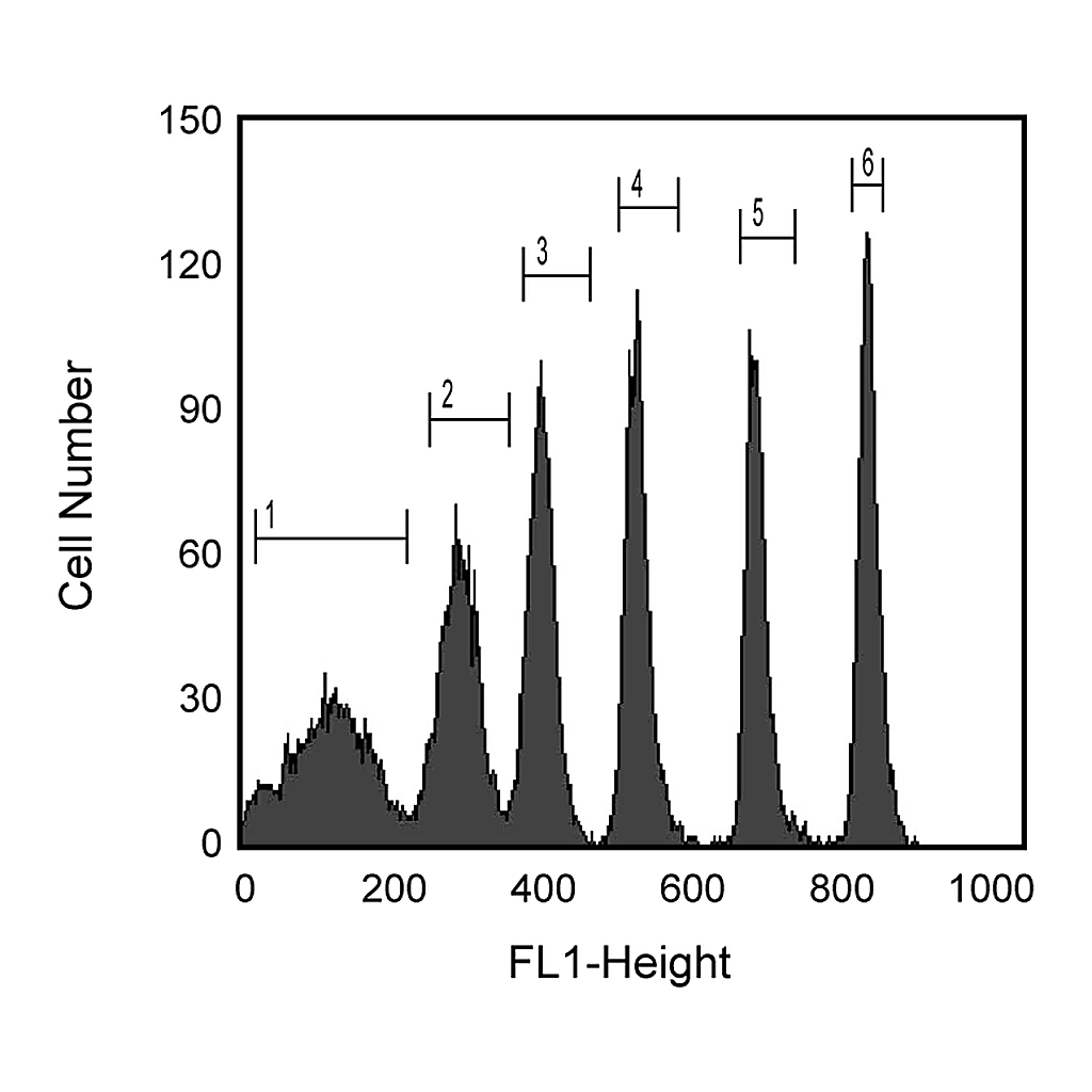 BD Rainbow Calibration Particles (6 peaks), 6.0 - 6.4 µm