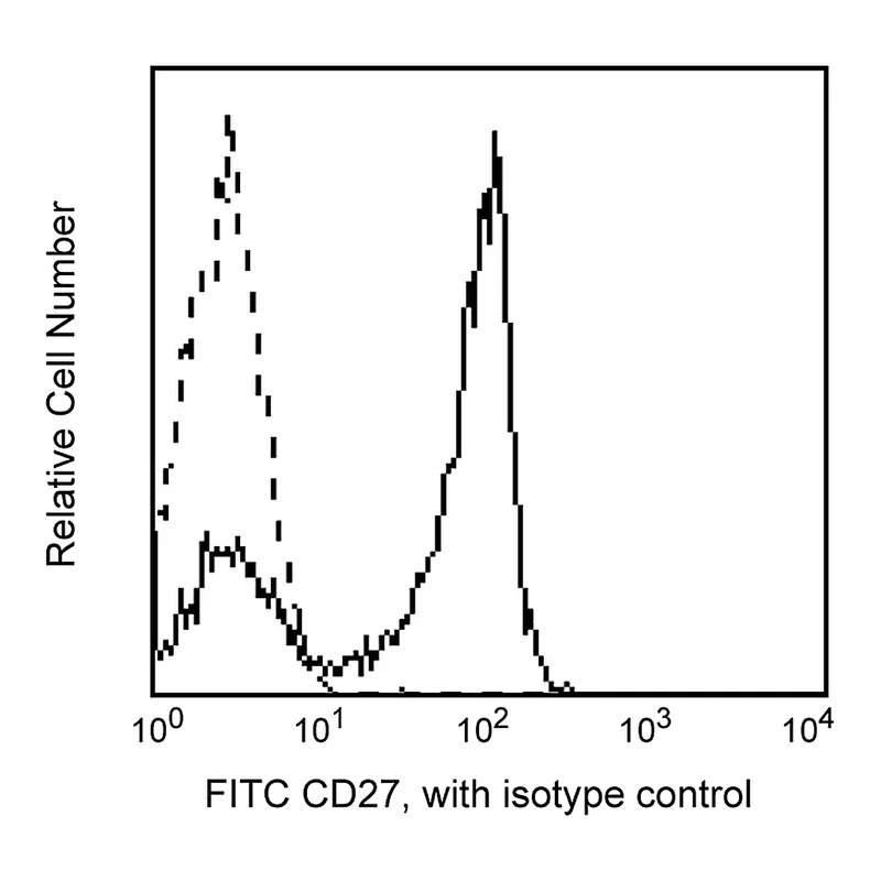BD FITC Mouse Anti-Human CD27
