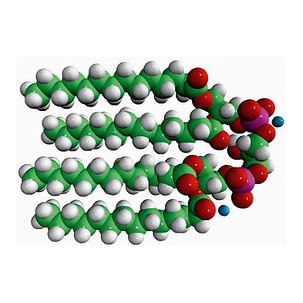 Merck 14:0 CARDIOLIPIN (AMMONIUM SALT)