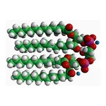 Merck 14:0 CARDIOLIPIN (AMMONIUM SALT)
