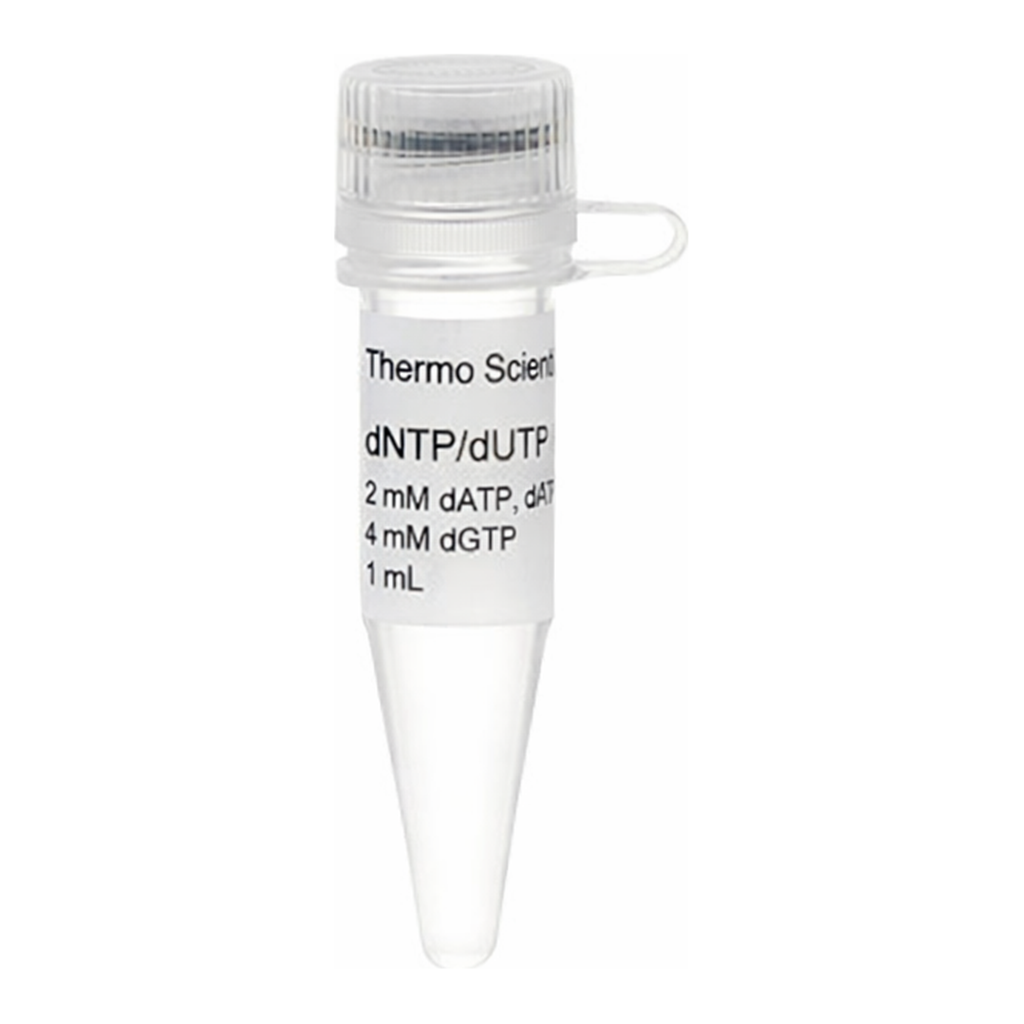 Thermo Fisher Scientific dNTP/dUTP Mix