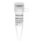 Thermo Fisher Scientific dNTP/dUTP Mix