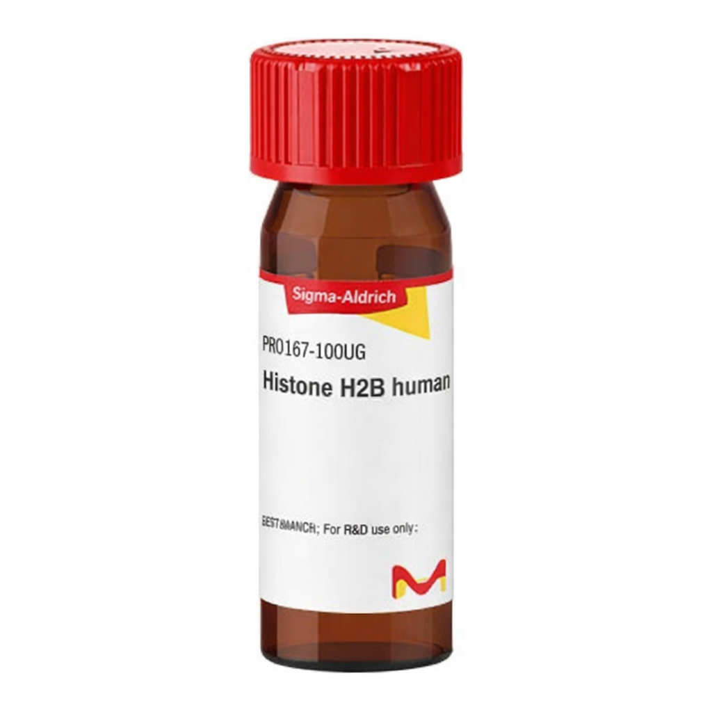 Merck Histone H2B human