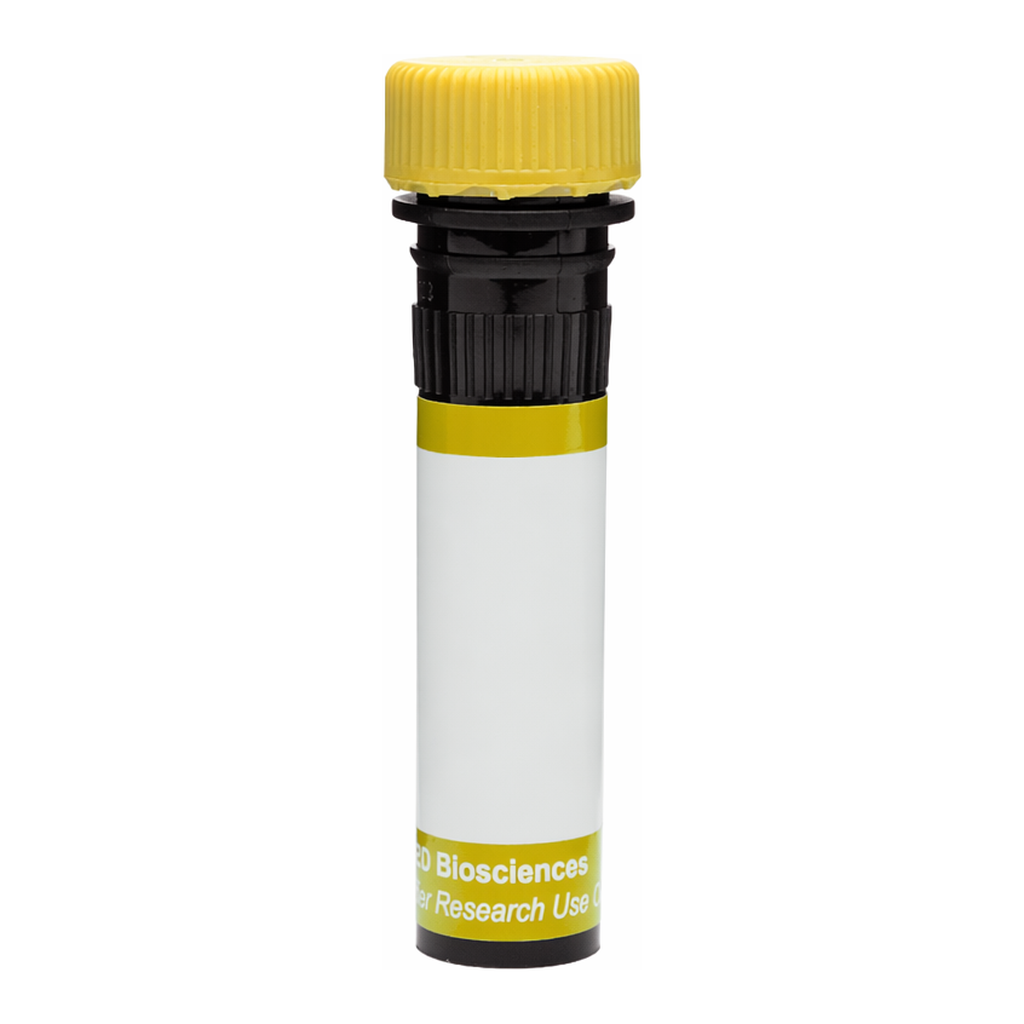 BD RY586 Mouse Anti-Human PSMA