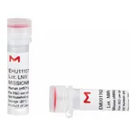 Merck MISSION(R) esiRNA