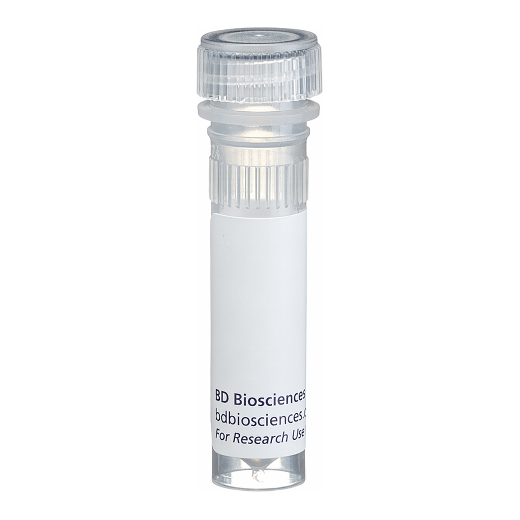 BD Biotin Rat Anti-Mouse CD5