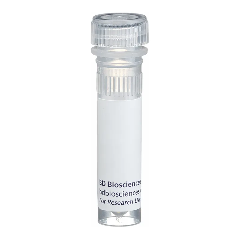 BD Biotin Rat Anti-Mouse CD5