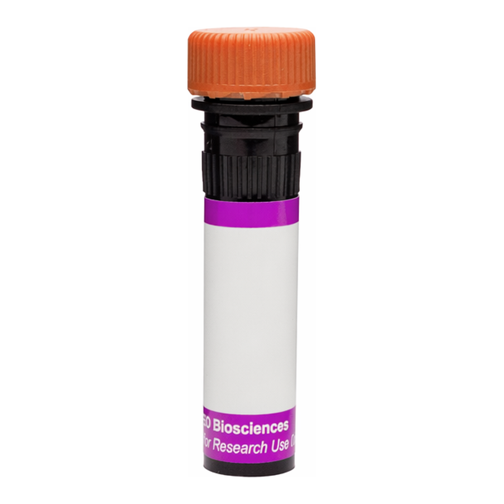 BD BV605 Hamster Anti-Mouse Vγ 2 T-Cell Receptor