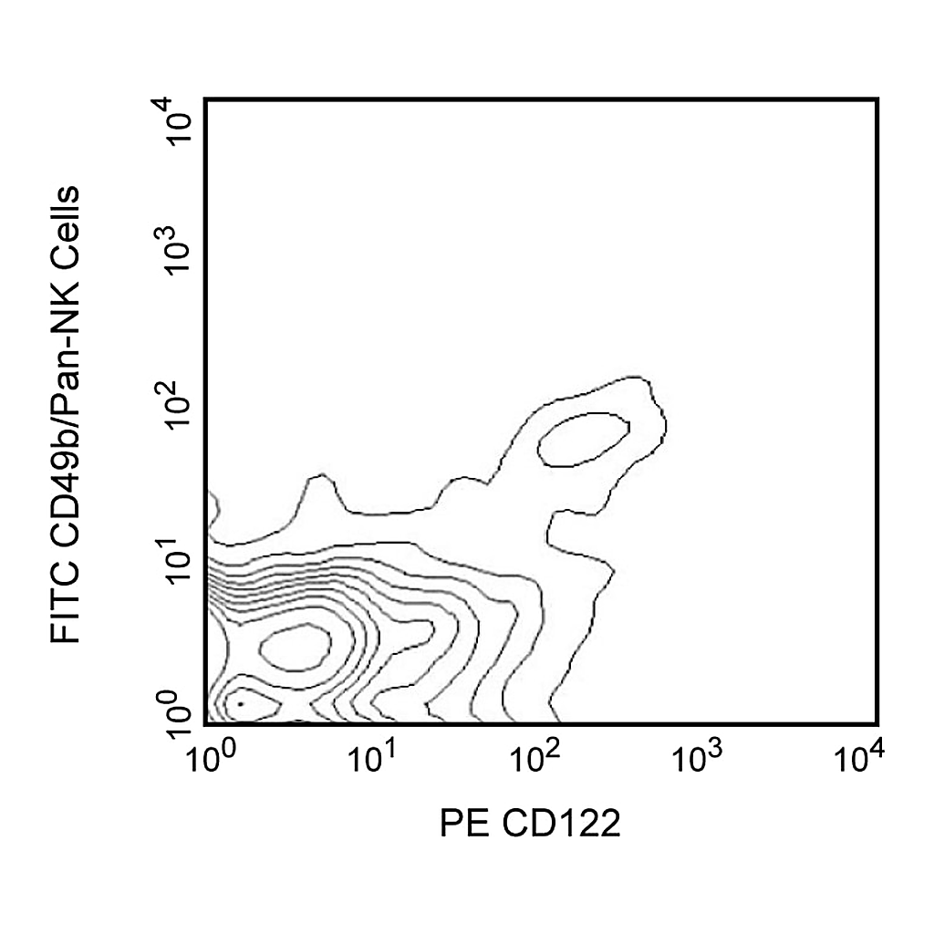BD PE Rat Anti-Mouse CD122