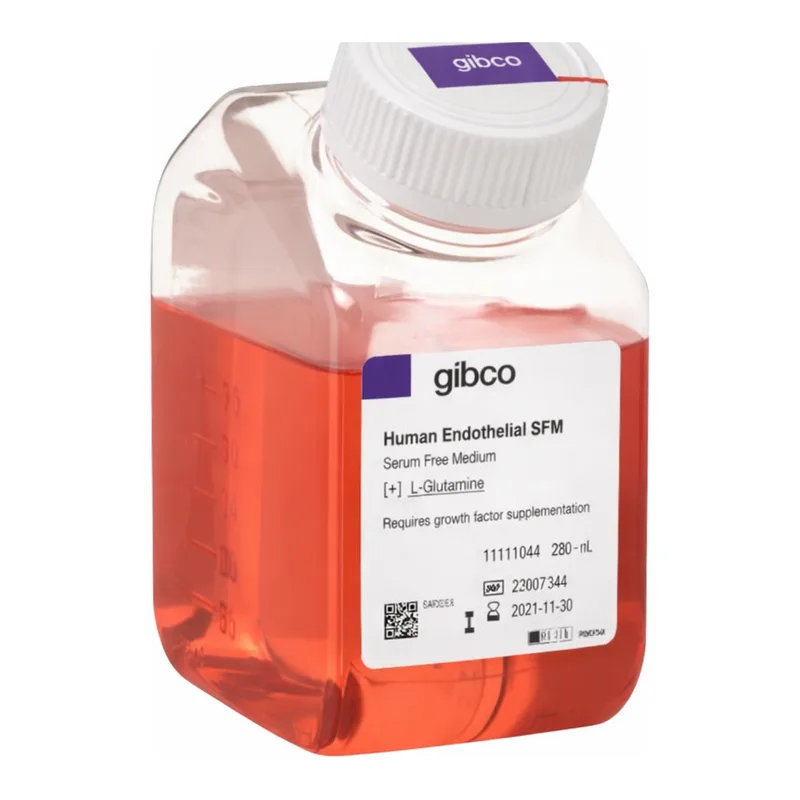 Thermo Fisher Scientific Human Endothelial SFM