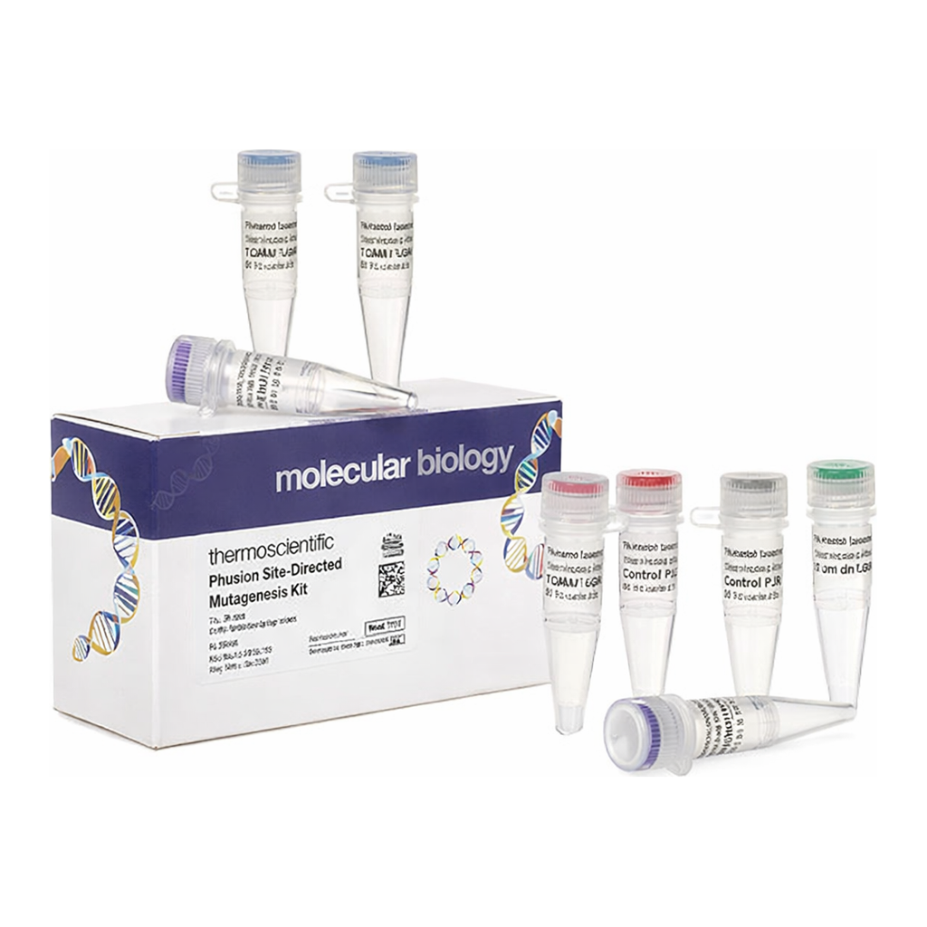 Thermo Fisher Scientific Phusion Site-Directed Mutagenesis Kit