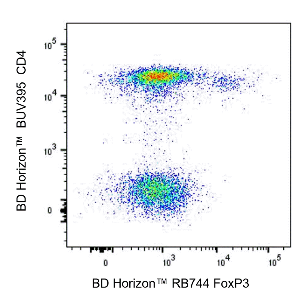BD RB744 Mouse Anti-Human FoxP3