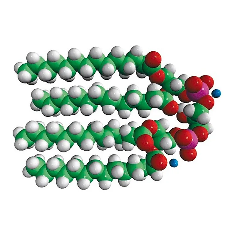 Merck 14:0 Cardiolipin (ammonium salt)