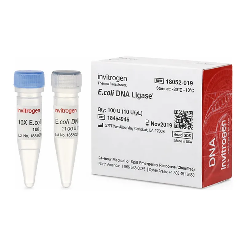 Thermo Fisher Scientific E. coli DNA Ligase