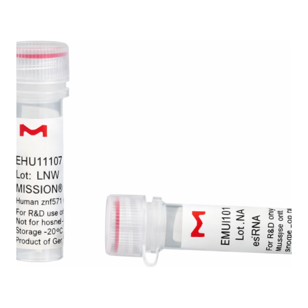 Merck MISSION(R) esiRNA