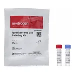 Thermo Fisher Scientific Qtracker 605 Cell Labeling Kit