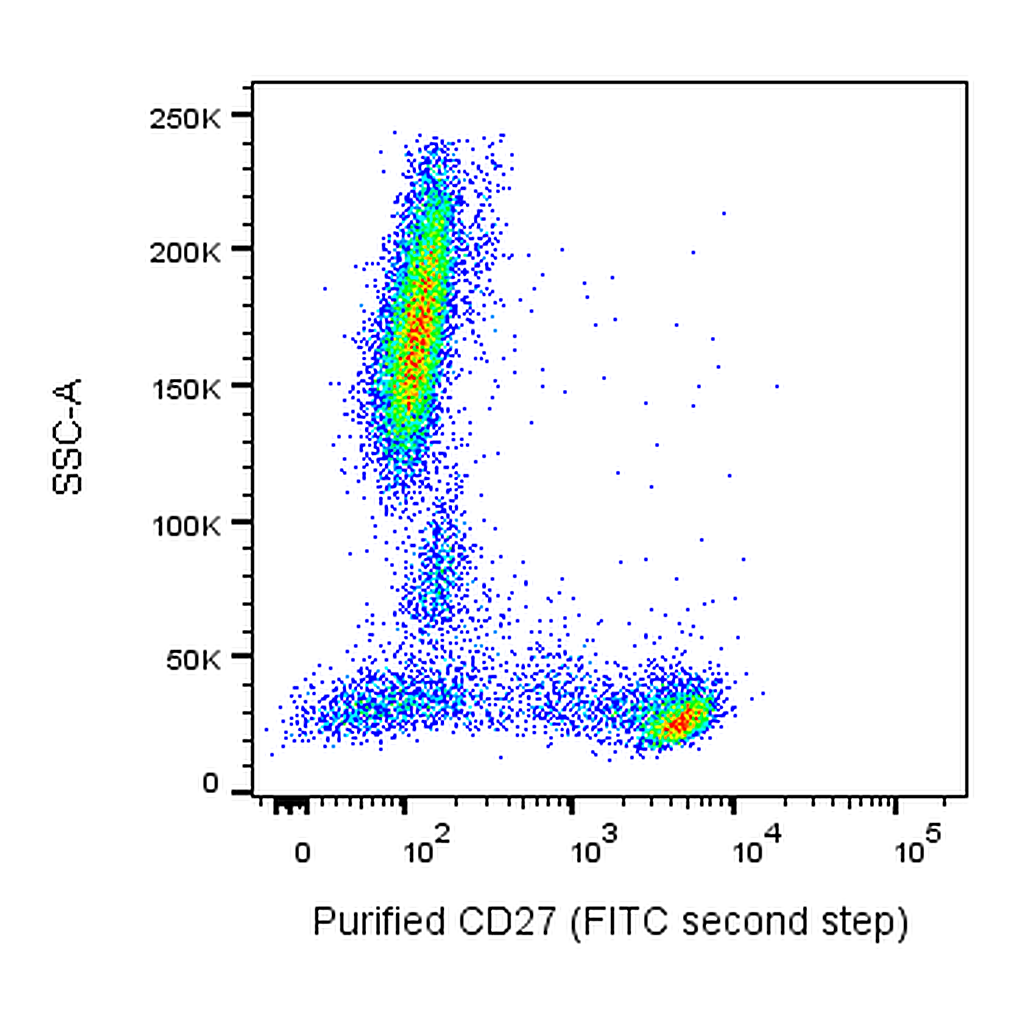 BD Purified Mouse Anti-Human CD27