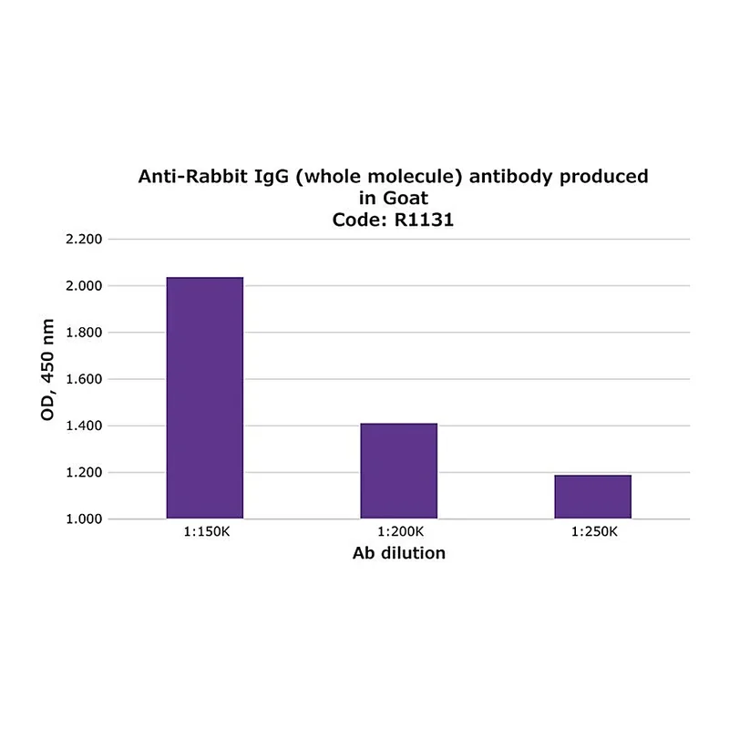 Merck Anti-Rabbit IgG (whole molecule) antibody produced in goat