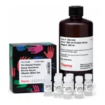 Thermo Fisher Scientific Pierce 660nm Protein Assay Kit
