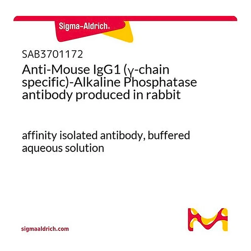 Merck Anti-Mouse IgG1 (gamma-chain specific)-Alkaline Phosphatase antibody produced in rabbit