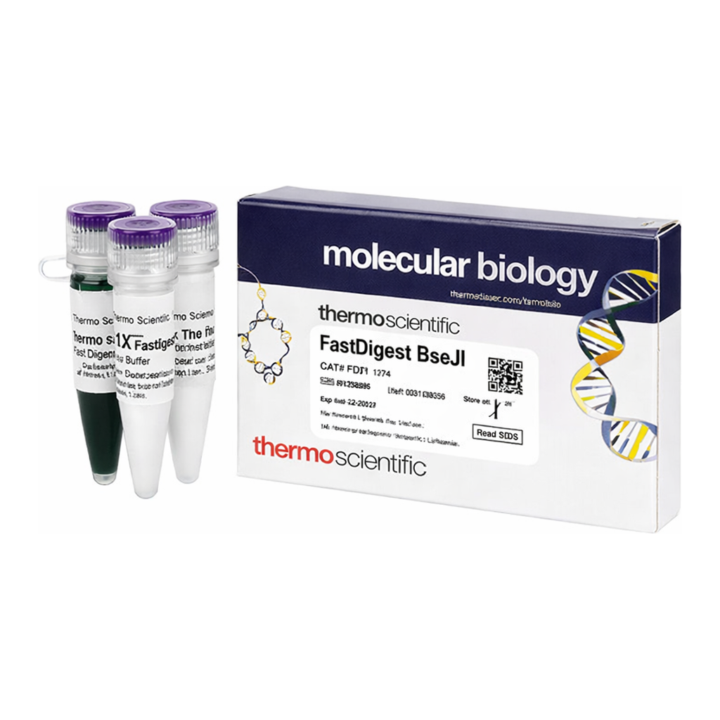 Thermo Fisher Scientific FastDigest BseJI