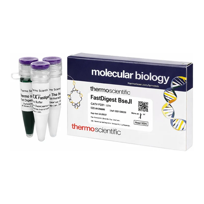 Thermo Fisher Scientific FastDigest BseJI