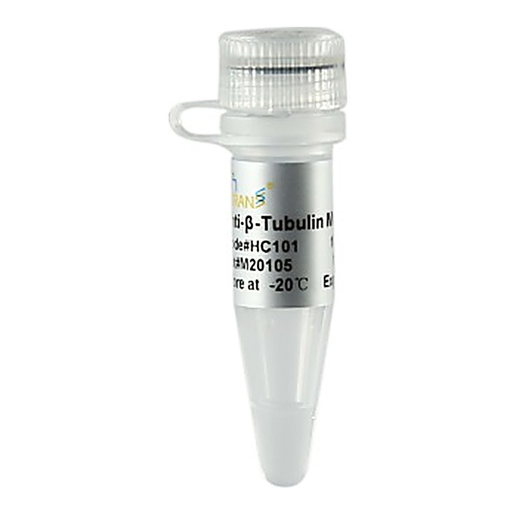ProteinFind® Anti-β-Tubulin Mouse Monoclonal Antibody