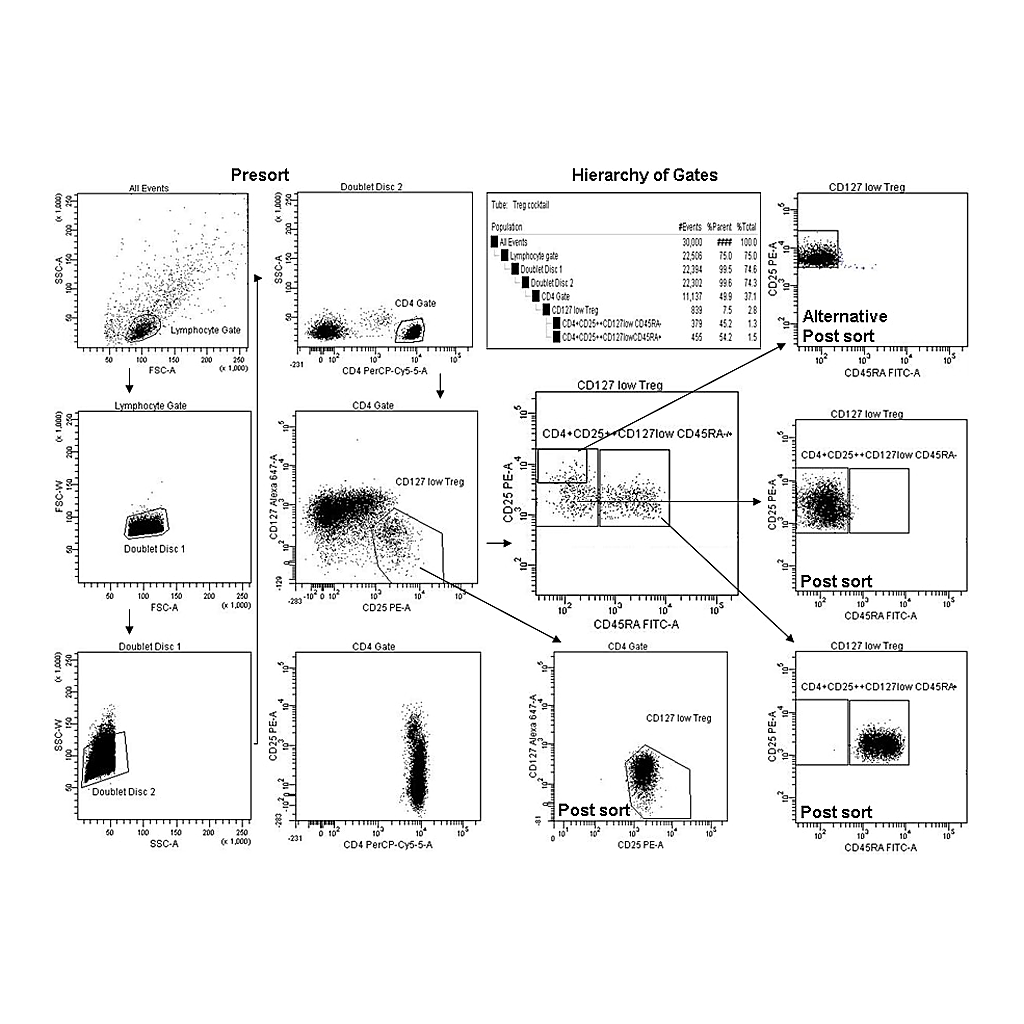 BD Human Regulatory T Cell Sorting Kit