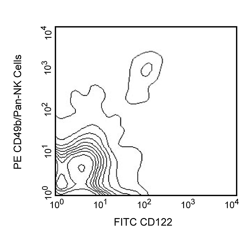 BD FITC Rat Anti-Mouse CD122