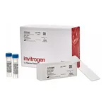 Thermo Fisher Scientific ViewRNA Tissue Positive Control Kit (2-plex) (4 rat kidney slides + probes)