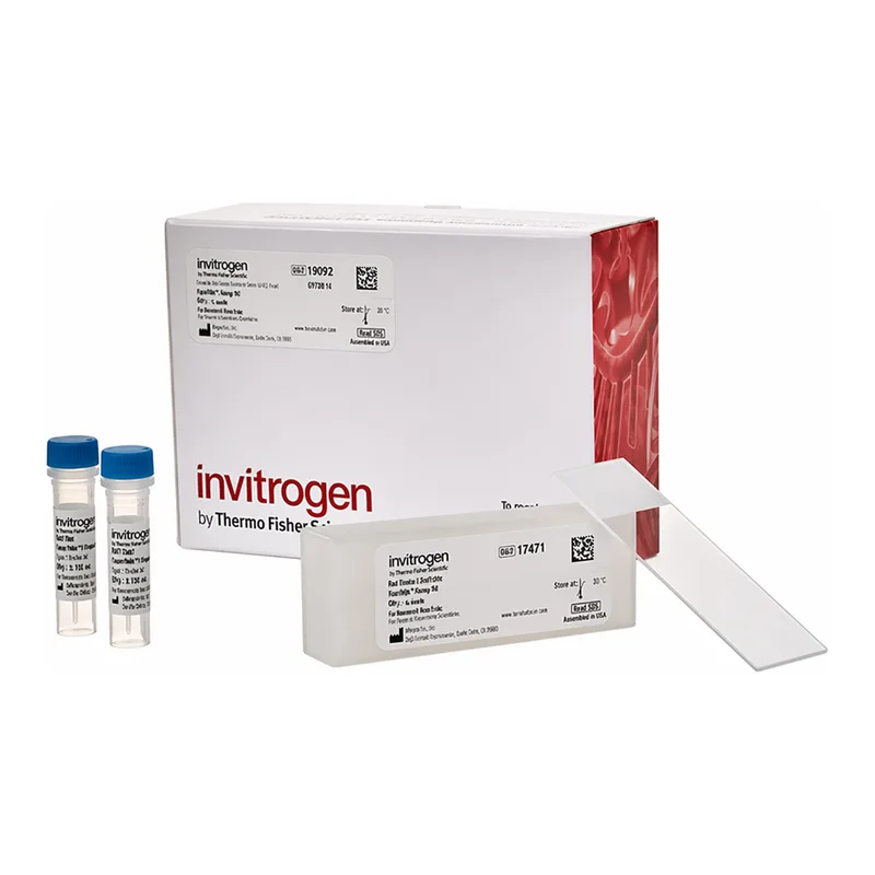 Thermo Fisher Scientific ViewRNA Tissue Positive Control Kit (2-plex) (4 rat kidney slides + probes)
