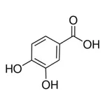 Merck PROTOCATECHUIC ACID